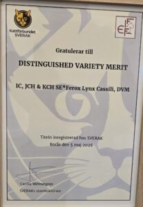 Cassili_dvm_sverak