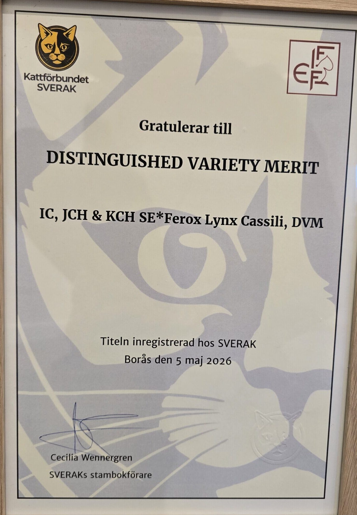 Cassili_dvm_sverak