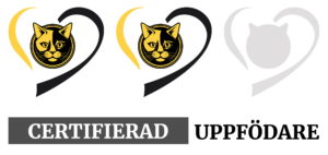 certifierad_symbol_2025_text