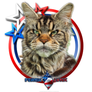 profilbild_cassili_2026-07-21
